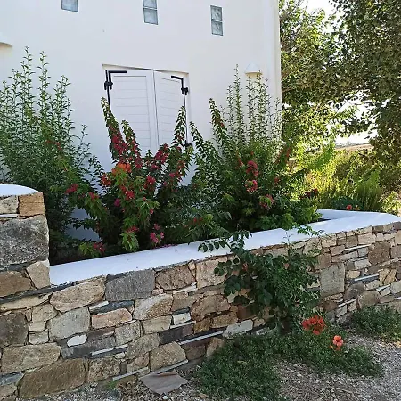 Andria's Chrisi Akti (Paros)