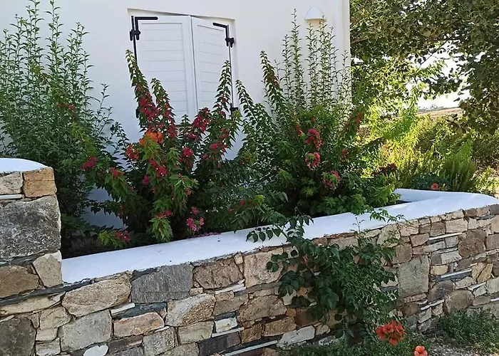 Andria's Chrisi Akti (Paros)