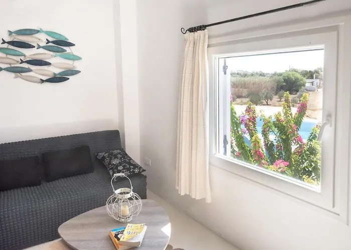 Andria's * Chrisi Akti (Paros)