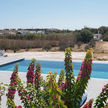 Andria's * חריסי אקטי